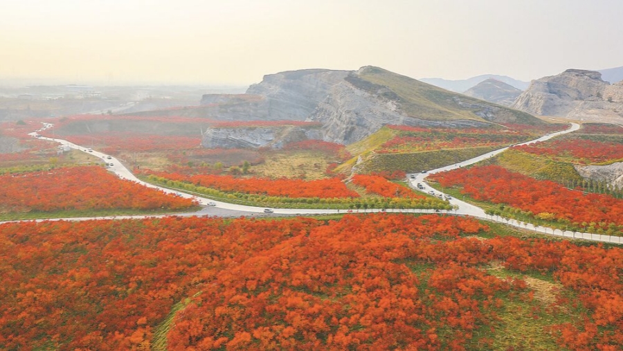 1.保定市白洋淀废弃矿山生态修复s.jpg